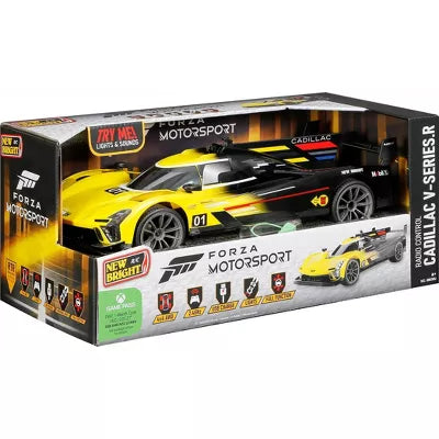 1:8 Scale Remote Control Forza Motorsport Cover Car