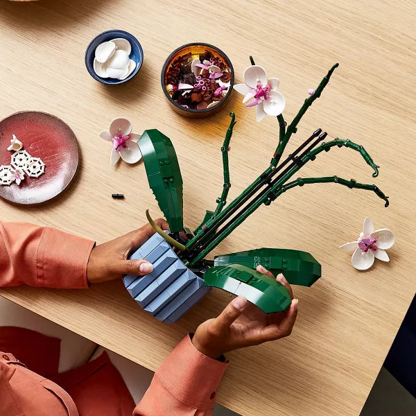 Icons Orchid Plant and Flowers Set