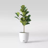 Self-Watering Plastic Indoor Outdoor Planter Pot