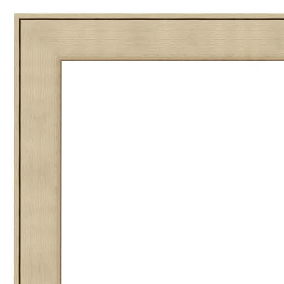 Classic Honey Silver Beveled Framed Wall Mirror