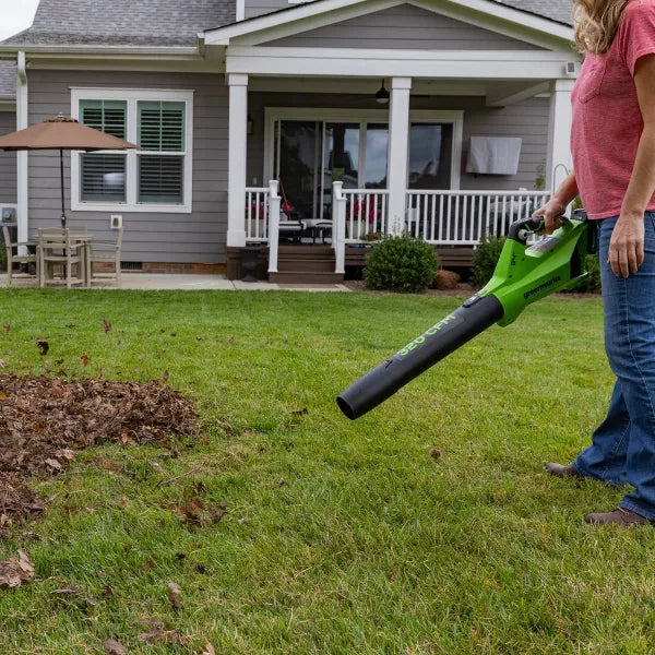 Axial Leaf Blower ONLY