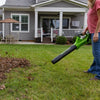 Axial Leaf Blower ONLY