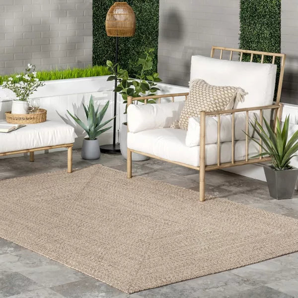 Wynn Braided Indoor/Outdoor Area Rug