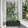 Black Metal Rectangle Planting Box with Climbing Frame Decorative Art Panel