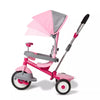 4-in-1 Stroll 'N Trike