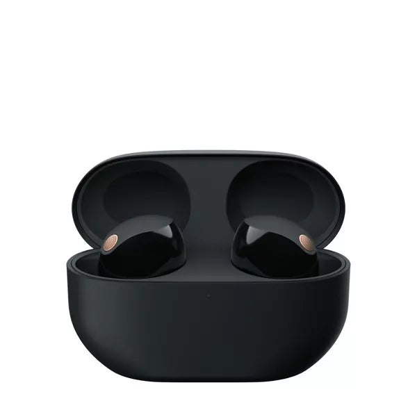 Sony True Wireless Bluetooth Noise Canceling Earbuds, final cut