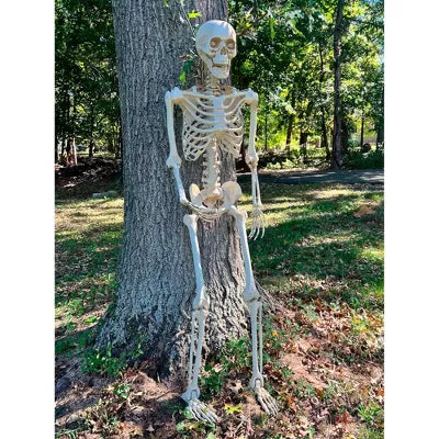 Posable Skeleton Party Decoration