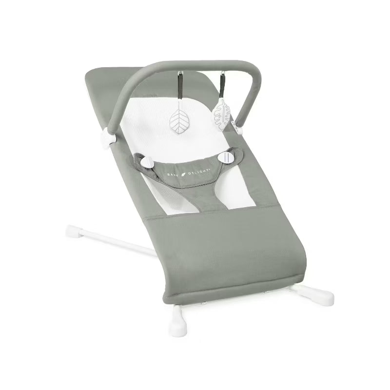 Highland Organic Portable Baby Bouncer