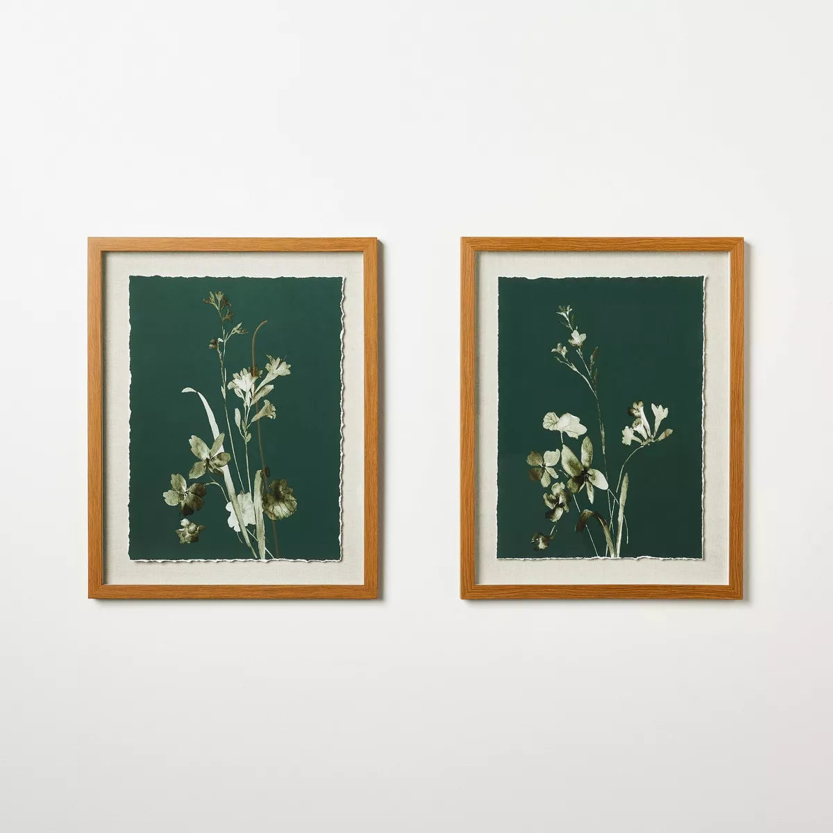 (Set of 2) Orchid Flowers Framed Wall Art: Botanical Lithograph, Modern Decor