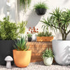 Self-Watering Plastic Indoor Outdoor Planter Pot, final cut