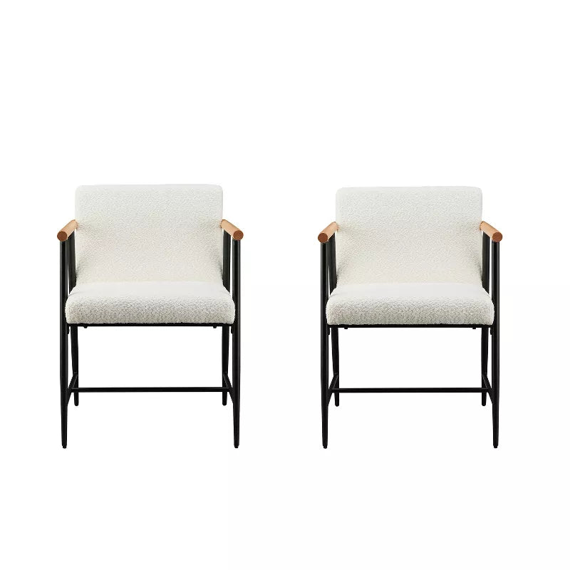 Quinn Modern Wood and Metal Dining Chair (Set of 2)
