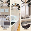 Modern Gold LED Ceiling Fan 6-Speed Reversible Chandelier