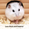 Aspen Odor Control Small Pet Bedding