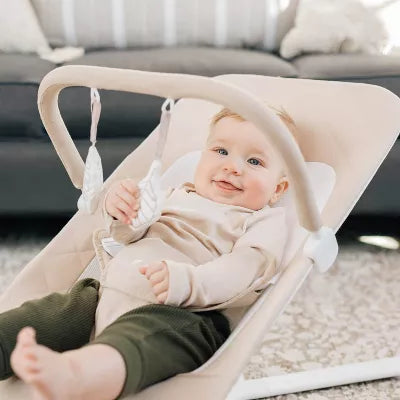 Alpine Deluxe Portable Bouncer