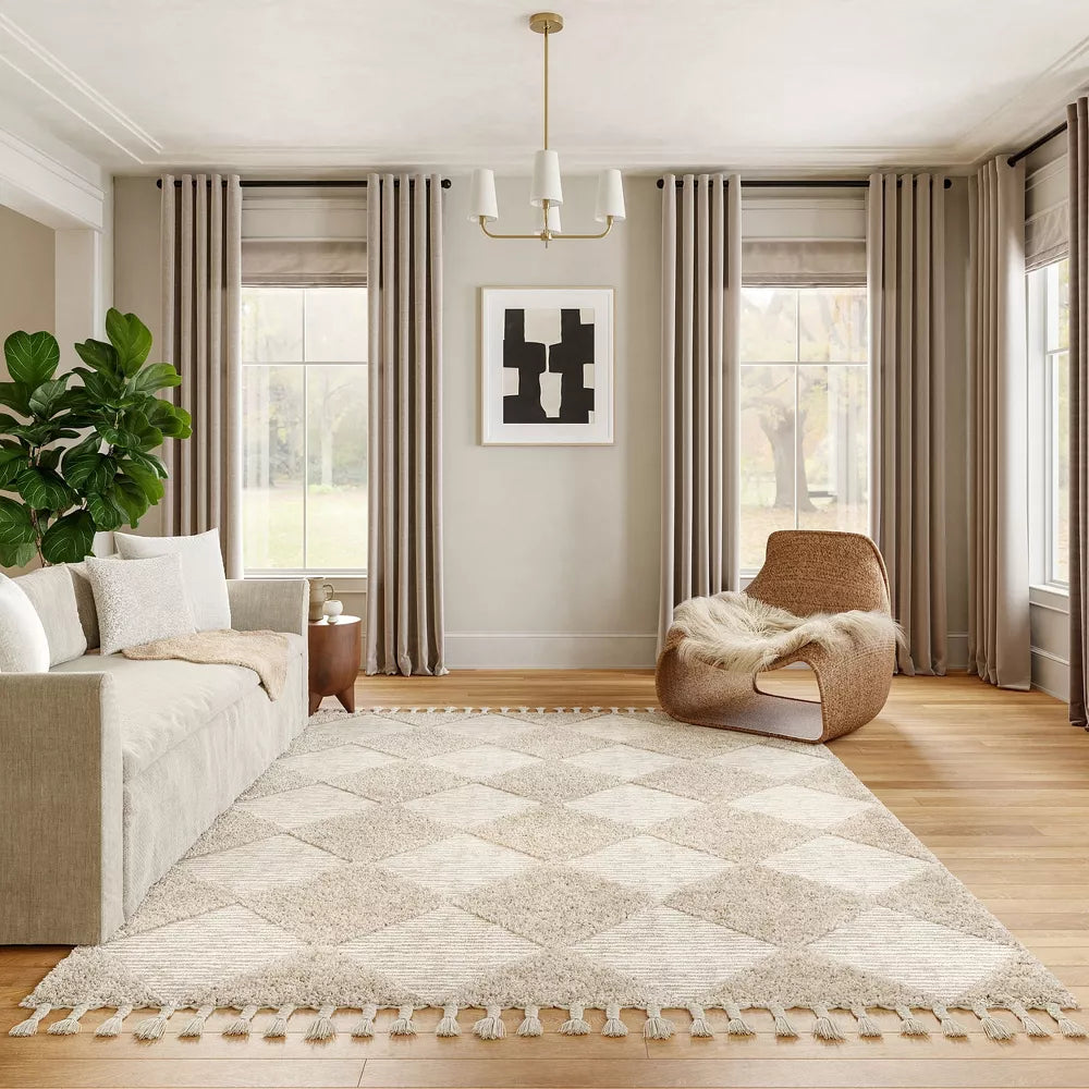 Marissa High/Low Diamond Tassel Indoor Area Rug