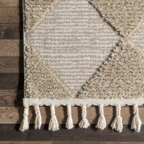 Marissa High/Low Diamond Tassel Indoor Area Rug