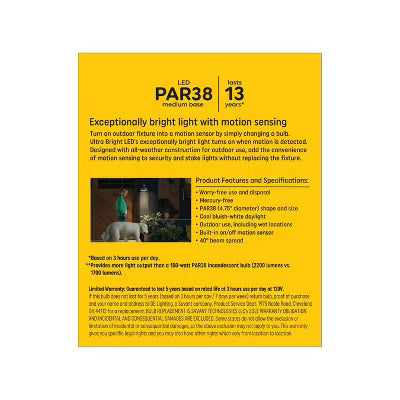 Outdoor Floodlight Daylight