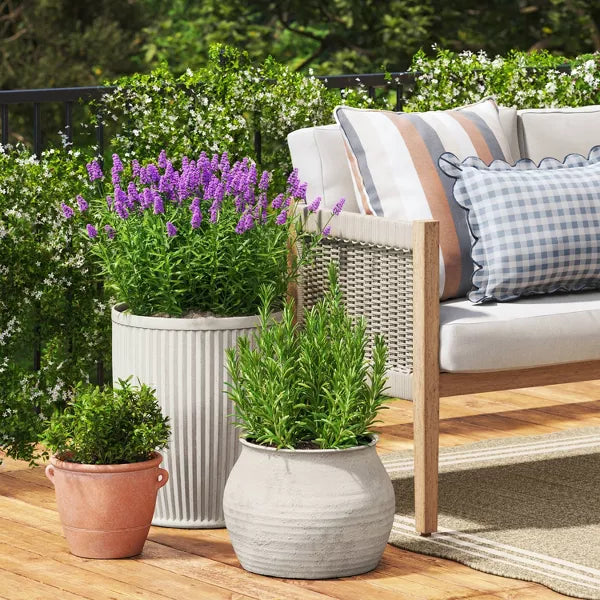 bleaching plant pots Sun Bleached Composite Indoor Outdoor Planter Pot Cream – Salvage & Co Indy