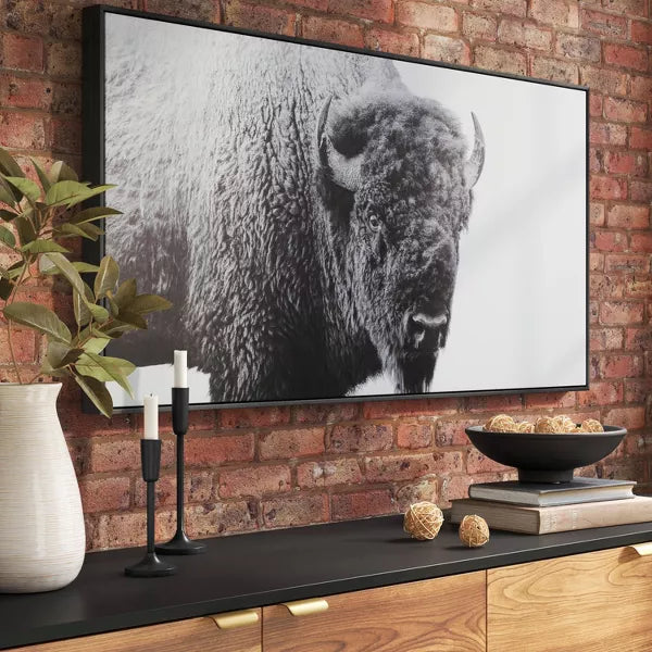 Buffalo Wall Canvas Black