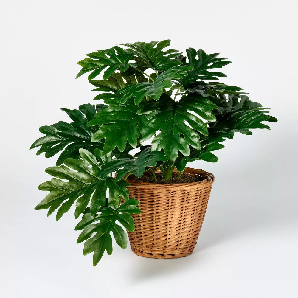 philodendron decor Philodendron Decorative Plant in Basket, final cut – Salvage & Co Indy