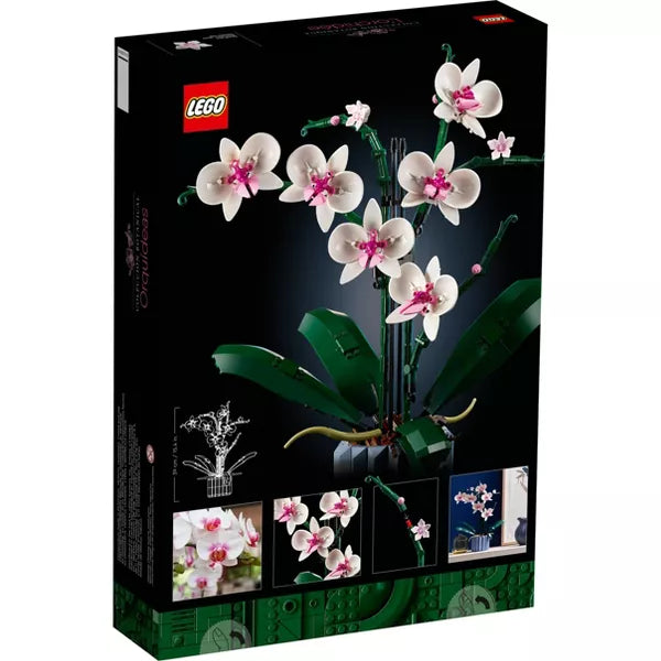 Icons Orchid Plant and Flowers Set