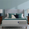 The Casper Element Mattress - Queen