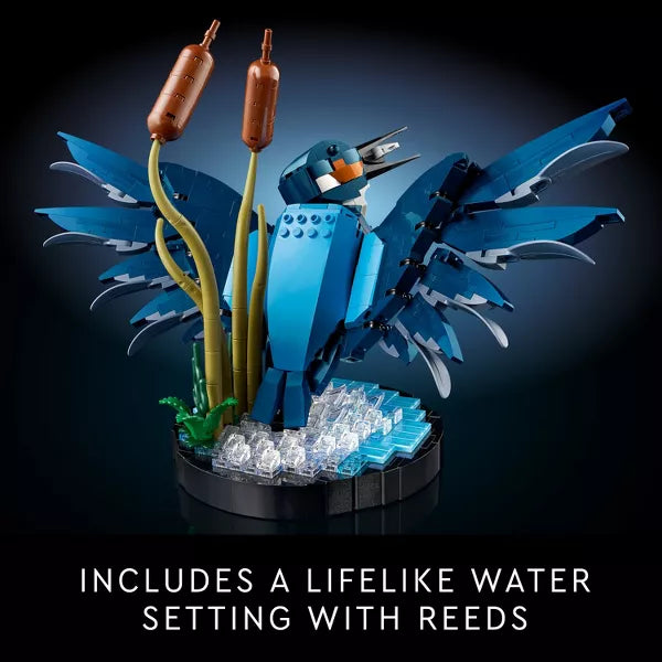 Icons Kingfisher Bird Building Set for Build and Display