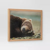 Bear Photography Framed Art Brown