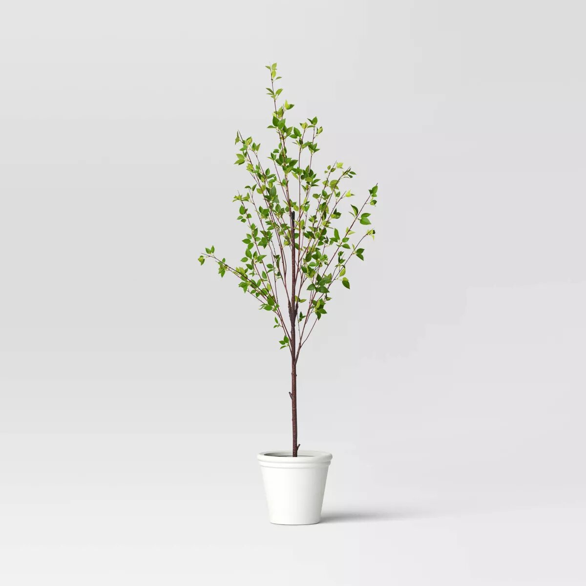Ficus Artificial Tree