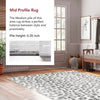 Annette Modern Leopard Print Area Rug