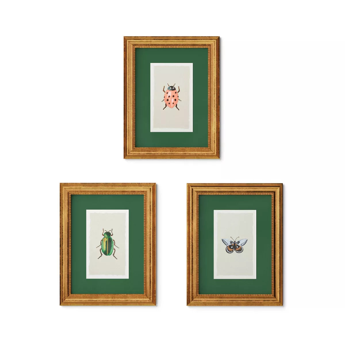 Rifle Paper Co. x Target 11"x14" Gold Foil Insect Poster Framed Wall Art Prints Set of 3 SHOWROOM ITEM