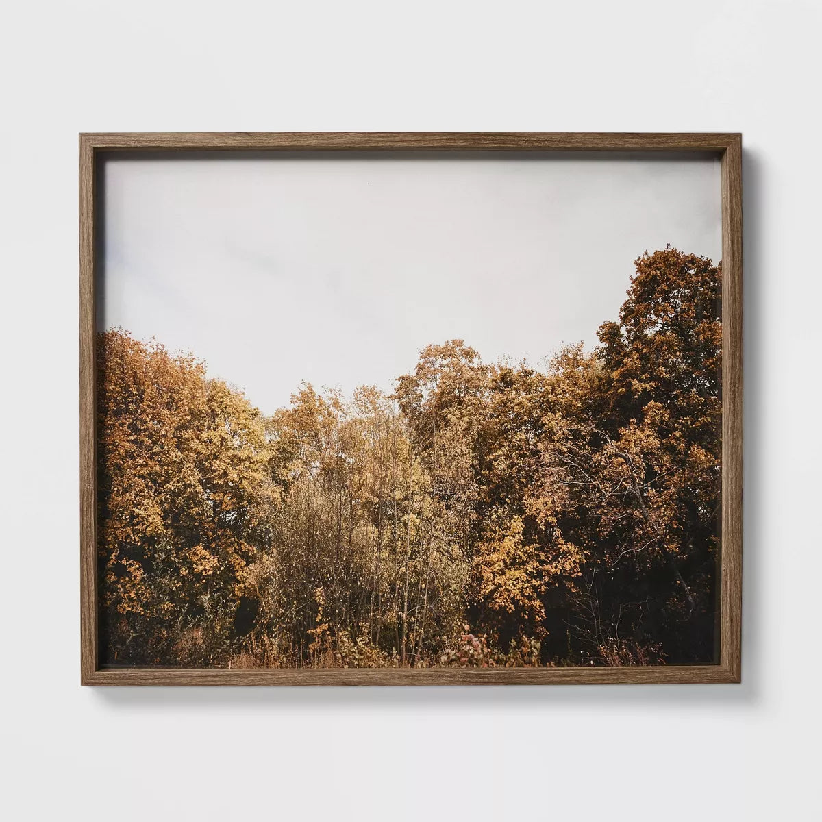 Golden Forest Framed Wall Art: Modern Decor, MDF & Glass