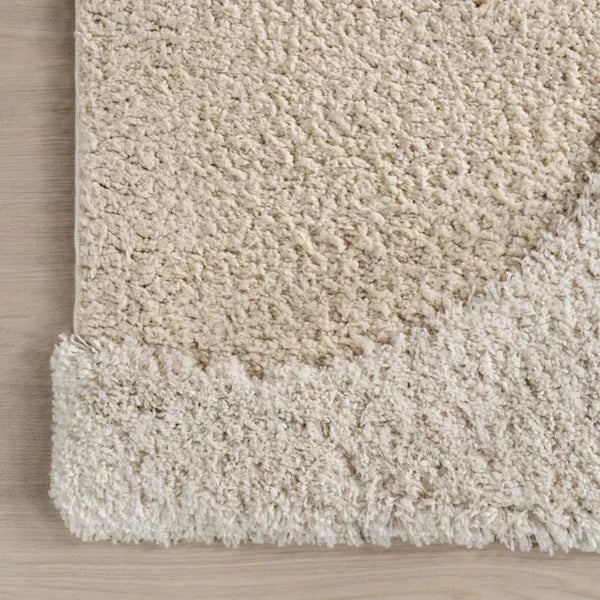 Gloria Abstract Shag Indoor Area Rug