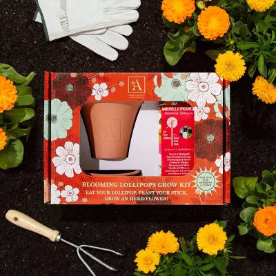 Blooming Lollipops Grow Kit