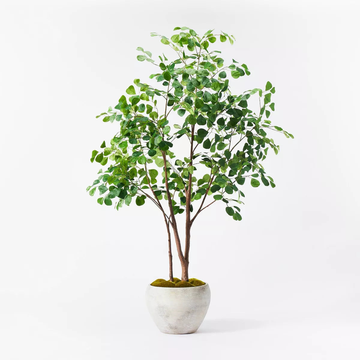 72" Artificial Ficus Tree - Threshold™ designed with Studio McGee SHOWROOM ITEM