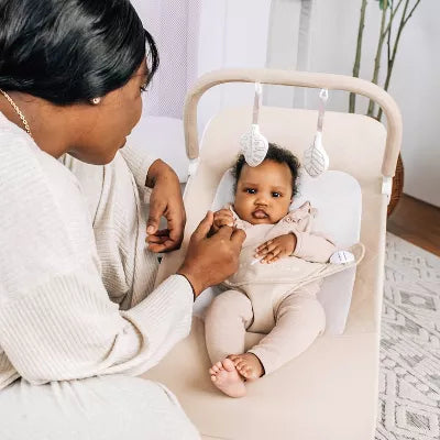 Alpine Deluxe Portable Bouncer