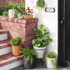 Banded Stoneware Indoor Outdoor Planter Pot