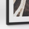 2pc Zebra Close up Glass Framed Wall Posters: Modern Animal Photography Prints