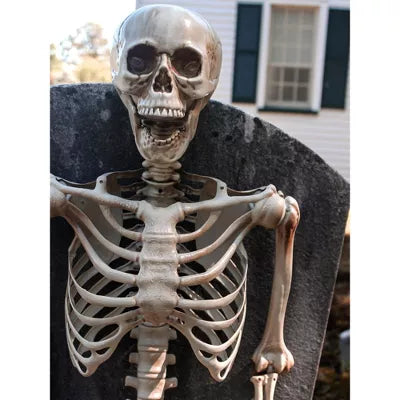 Posable Skeleton Party Decoration