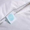1-Piece Standard Feather & Down Bed Pillow White