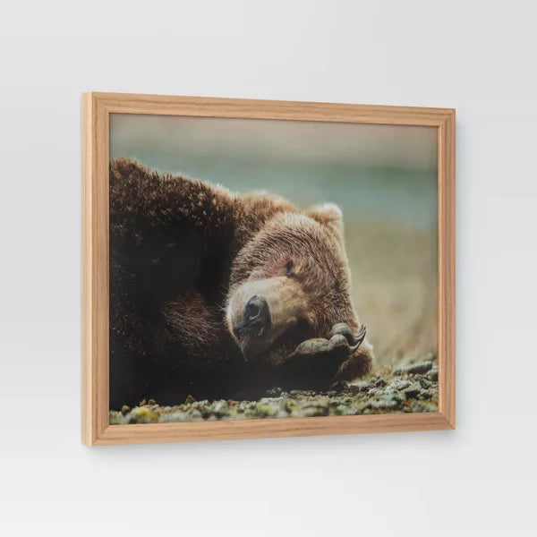 Bear Photography Framed Art Brown - Animal Wall