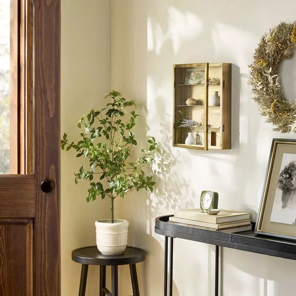 Large Metal Display Box Brass Finish
