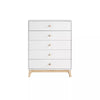 5 Drawer Kids' Chest
