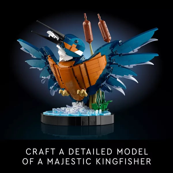 Icons Kingfisher Bird Building Set for Build and Display