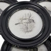 (Set of 4) Round Wood Framed Bird Wall Art Set Black and Ivory