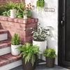 Aesthetic Plastic Indoor Outdoor Planter Pot