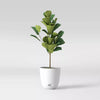 Self-Watering Plastic Indoor Outdoor Planter Pot, final cut