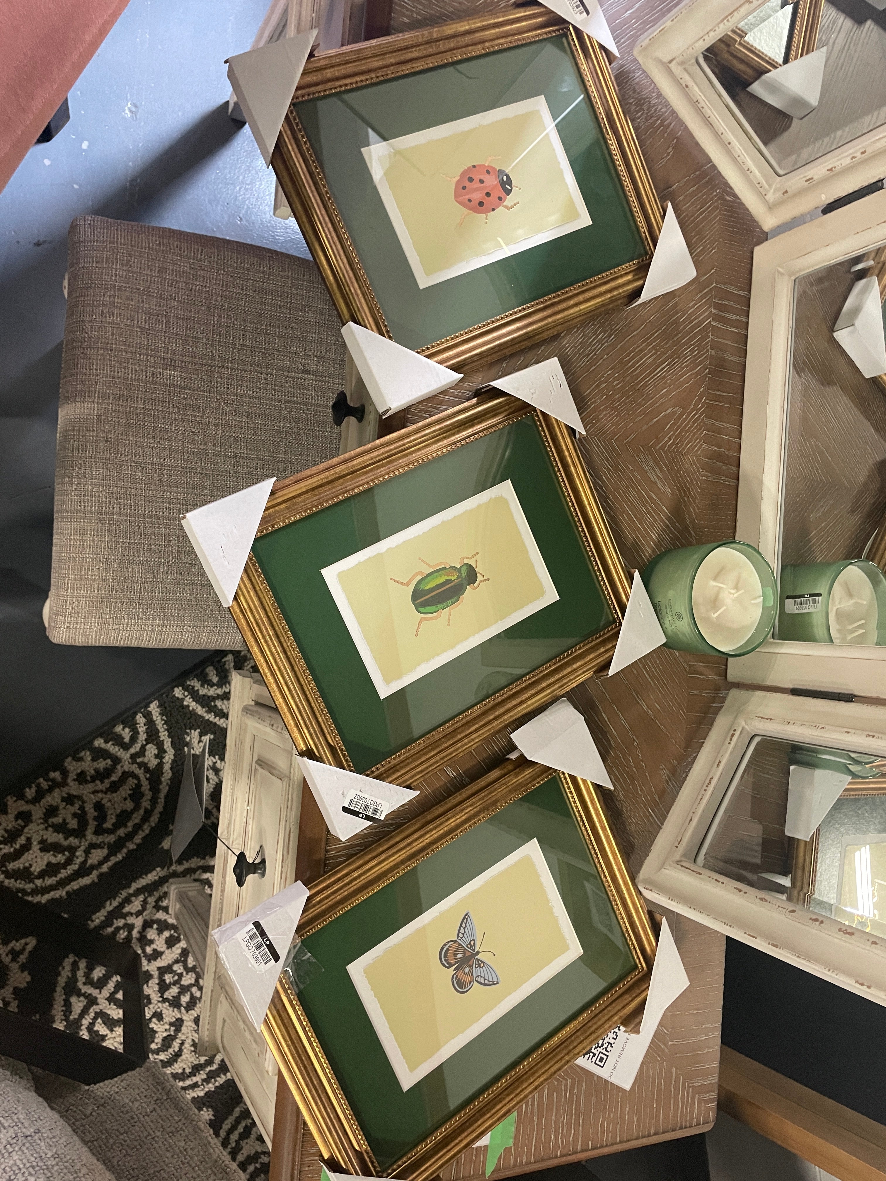 Rifle Paper Co. x Target 11"x14" Gold Foil Insect Poster Framed Wall Art Prints Set of 3 SHOWROOM ITEM