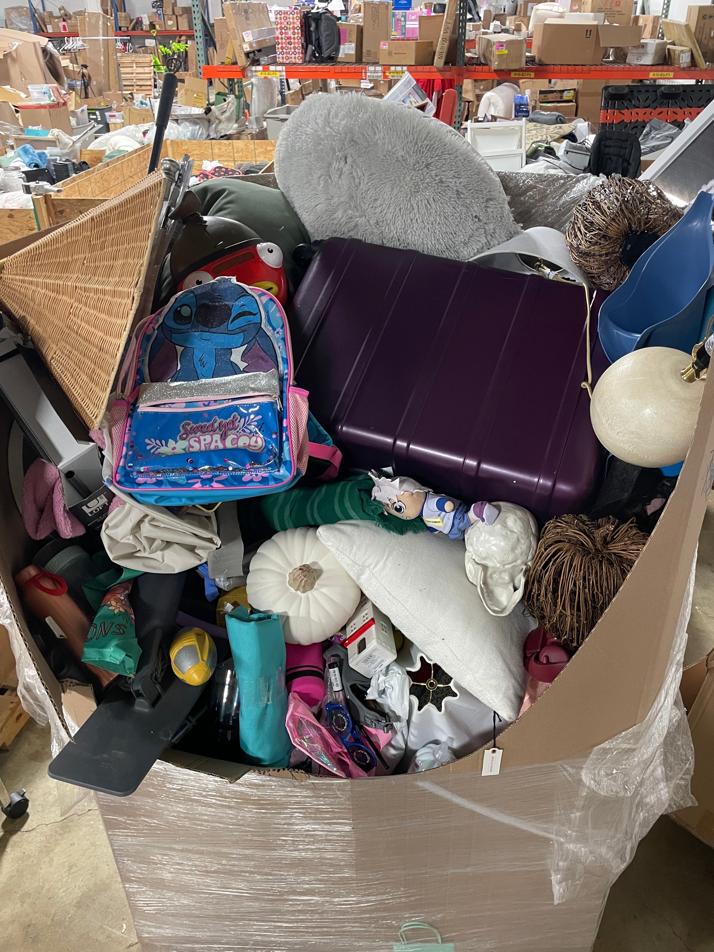 1 Pallet Unmanifested Liquidated approximately 627 items
