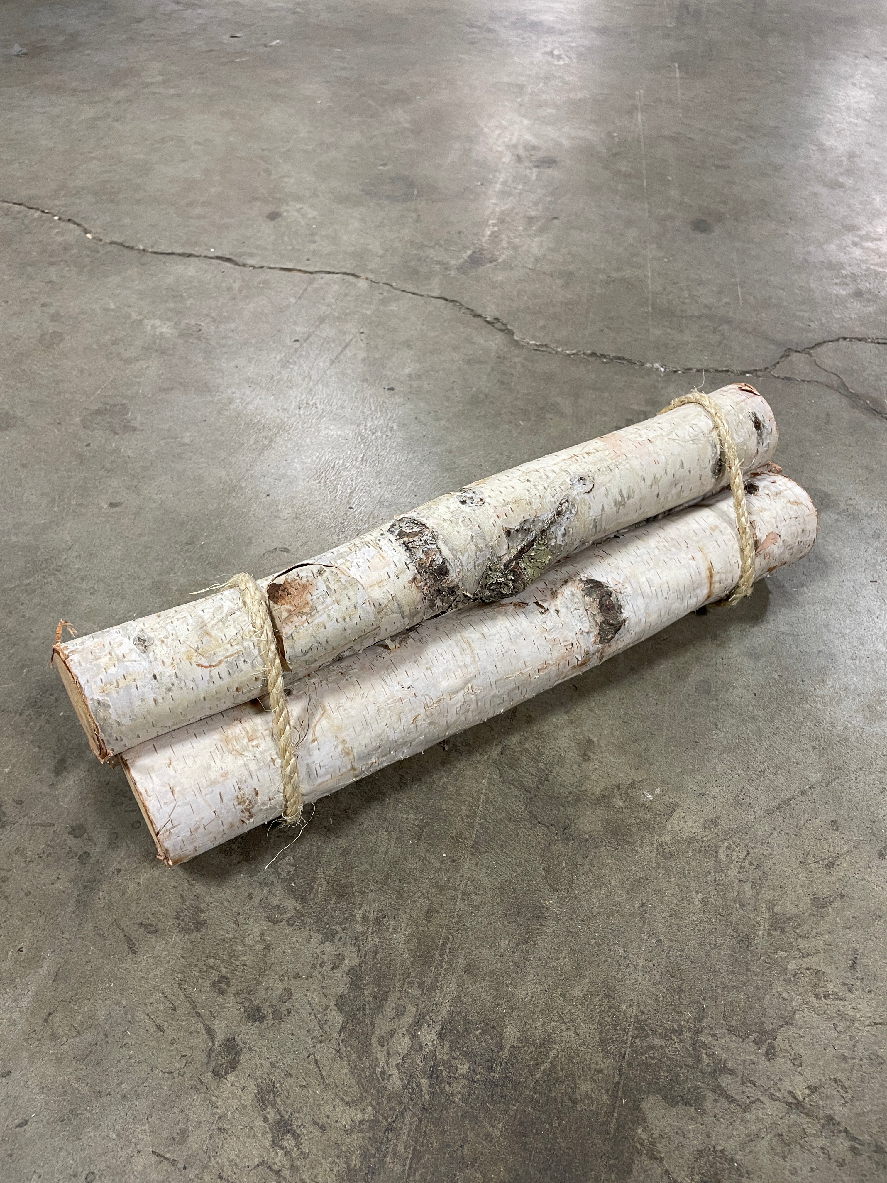 Birch log Set of 3, no further discounts
